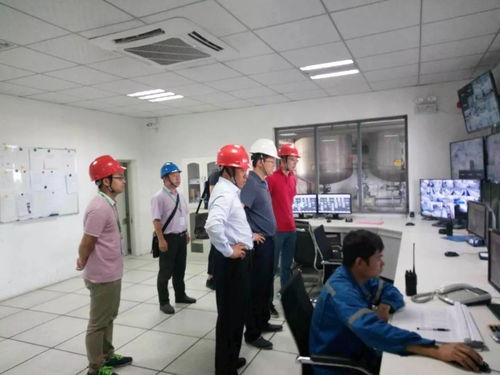 中國紙業(yè)總經(jīng)理張強(qiáng)赴華新包裝珠海工廠開展環(huán)保督察暨安全生產(chǎn)檢查